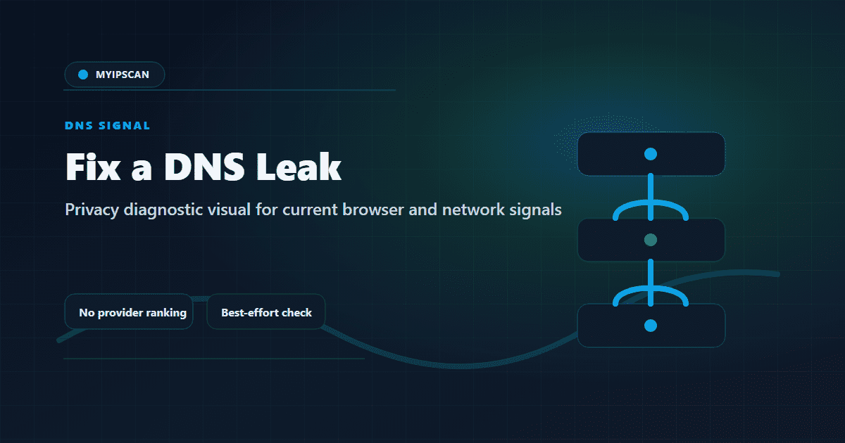 How to Fix a DNS Leak shown as a MyIPScan privacy diagnostic visualization