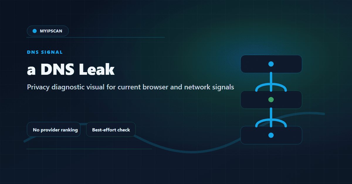 What Is a DNS Leak? shown as a MyIPScan privacy diagnostic visualization