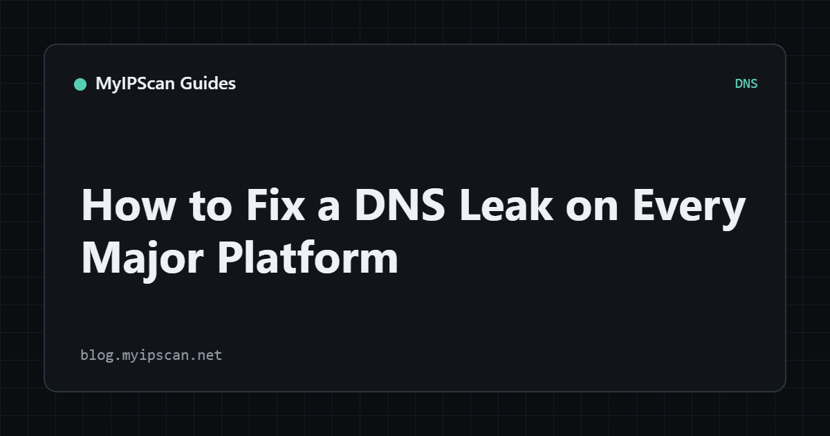 How to Fix a DNS Leak on Every Major Platform