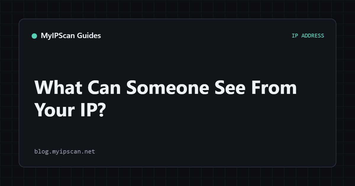 What Can Someone See From Your IP? shown as a MyIPScan privacy diagnostic visualization